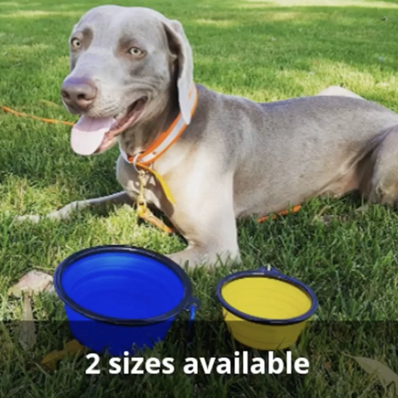 Collapsible Silicone Travel Bowls - 12oz